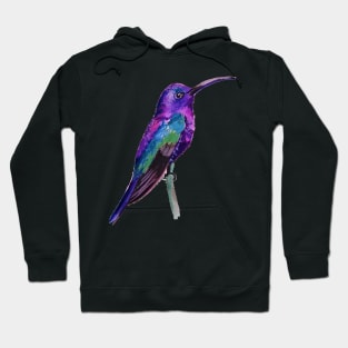 Violet Saberwing Hummingbird Watercolor Painting Hoodie